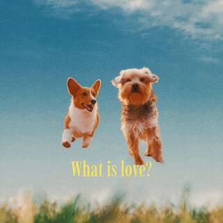 What Is Love?