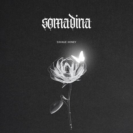 Somadina | Boomplay Music