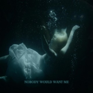 Nobody Would Want Me lyrics | Boomplay Music