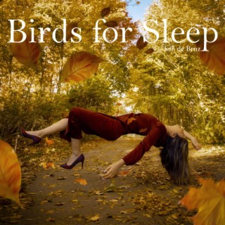 Birds for Sleep