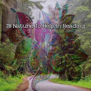 28 Nature To Help In Reading