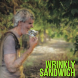 Wrinkly Sandwich