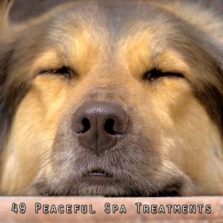 49 Peaceful Spa Treatments