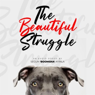 The Beautiful Struggle (An Audio Series)
