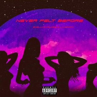 Never Felt Before ft. Lildrippa lyrics | Boomplay Music