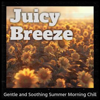 Gentle and Soothing Summer Morning Chill