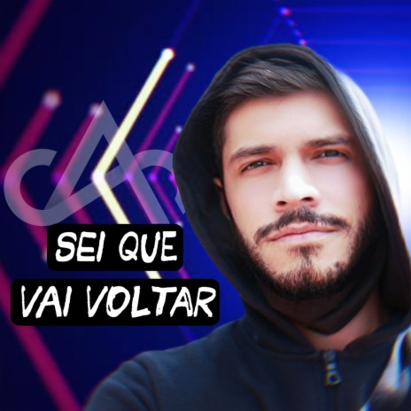 Sei Que Vai Voltar (Remix) | Boomplay Music