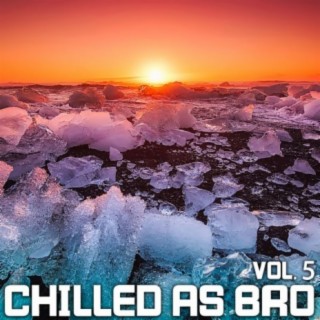 Chilled As Bro, Vol. 5