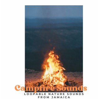 Campfire Sounds - Loopable Nature Sounds from Jamaica