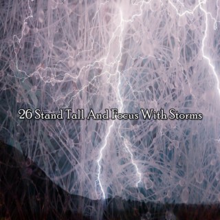 26 Stand Tall And Focus With Storms