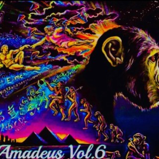 Amadeus Vol.6