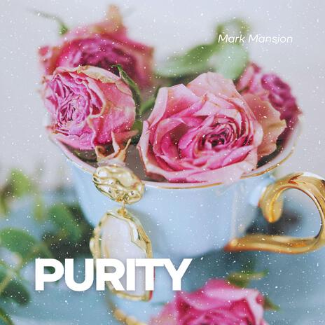 Purity (Radio Edit) | Boomplay Music