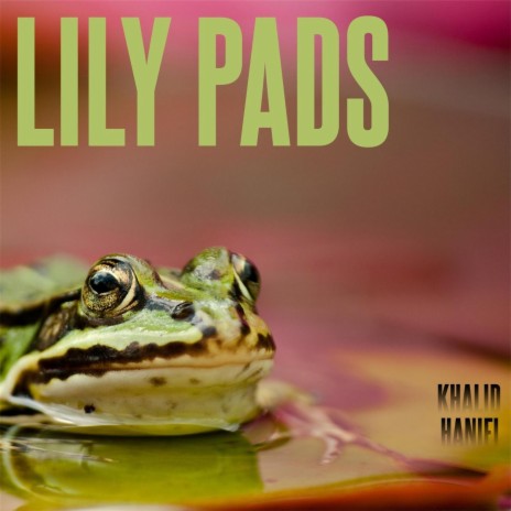 Lily Pads | Boomplay Music