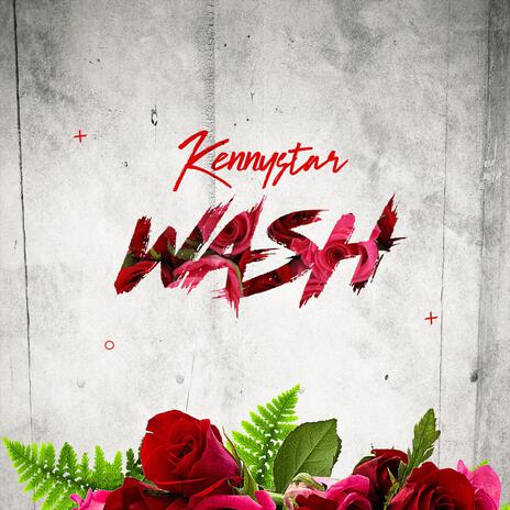 WASH | Boomplay Music