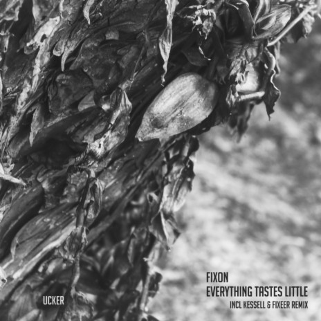 Everything Tastes Little | Boomplay Music