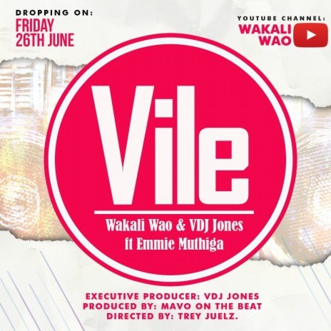 VILE ft. Wakali Wao, Emmie Muthiga | Boomplay Music