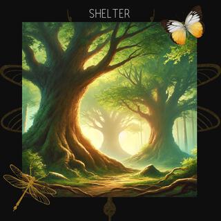 Shelter