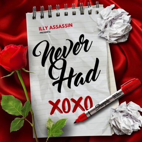 Never Had | Boomplay Music