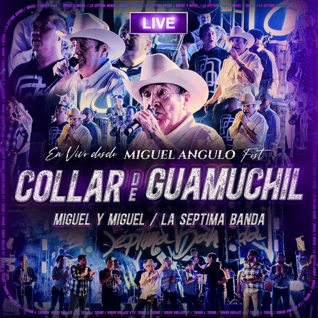 El Collar De Guamuchil (En Vivo Desde Miguel Angulo Fest) ft. La Septima Banda | Boomplay Music