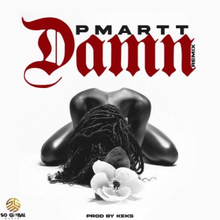 Damn (Remix)