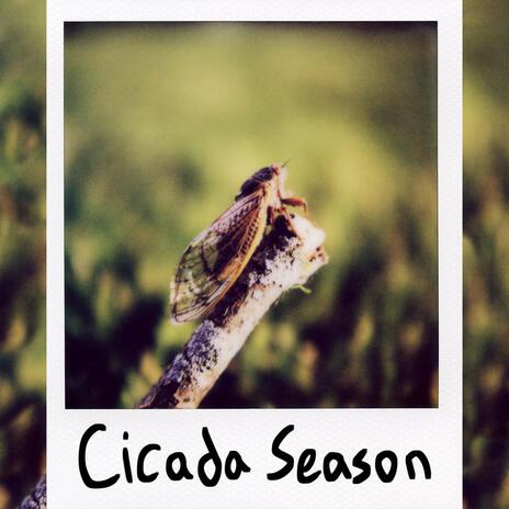 Cicada Season | Boomplay Music