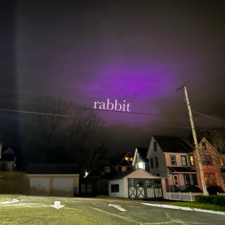 Rabbit ft. Sarah Paisley lyrics | Boomplay Music