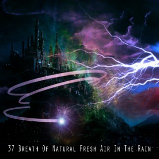 37 Breath Of Natural Fresh Air In The Rain
