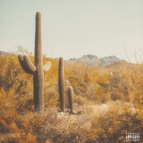 saguaro ft. Austin Marc | Boomplay Music