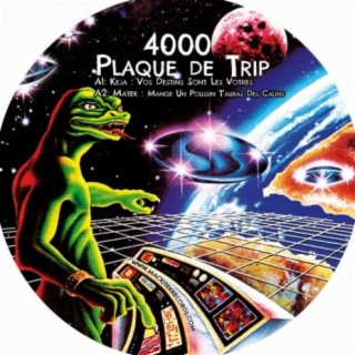 Plaque de Trip 4000