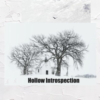 Hollow Introspection