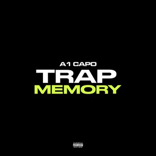 Trap Memory