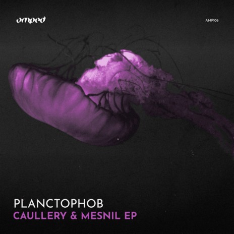 Caullery & Mesnil (Original Mix) | Boomplay Music