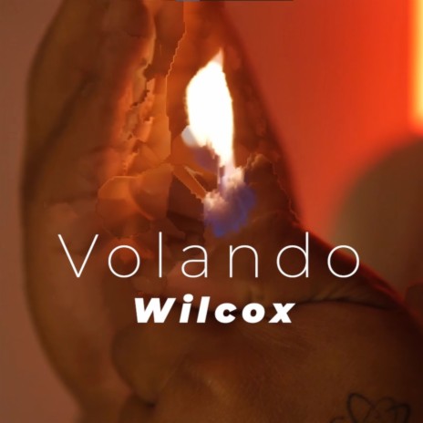 Volando | Boomplay Music