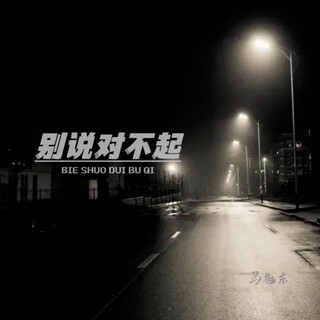 别说对不起 lyrics | Boomplay Music