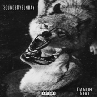 Wolves (feat. Damon Neal)