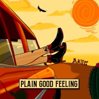 Plain Good Feeling lyrics | Boomplay Music