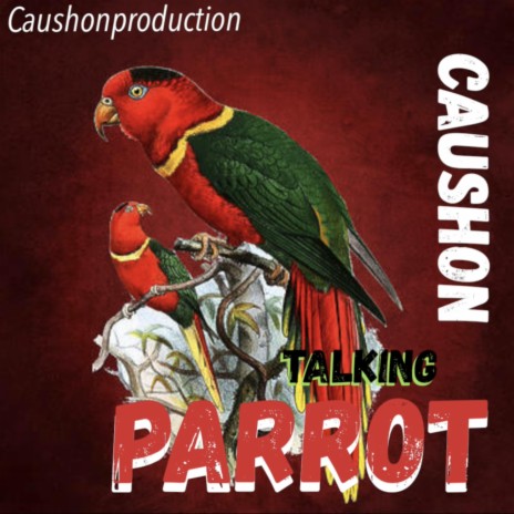 Talking Parrot | Boomplay Music