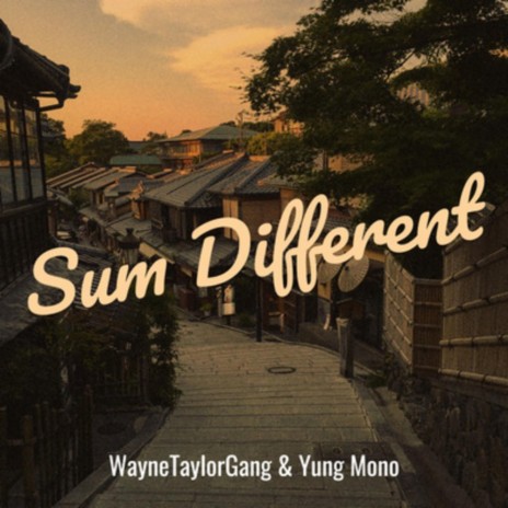 Sum Different ft. WayneTaylorGang | Boomplay Music