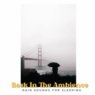 Bask in the Ambience: Rain Sounds for Sleeping
