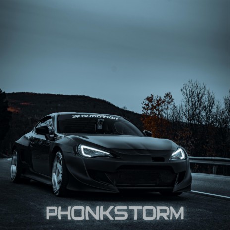 PHONKSTORM | Boomplay Music