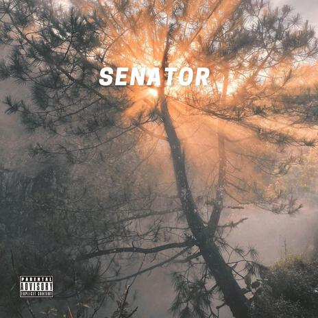 Senator ft. phantom808 | Boomplay Music