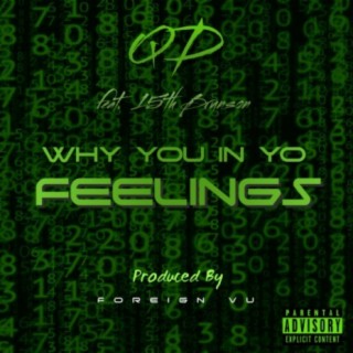 Why You In Yo Feelings (feat. 15th Brunson)