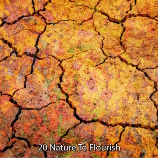 20 Nature To Flourish
