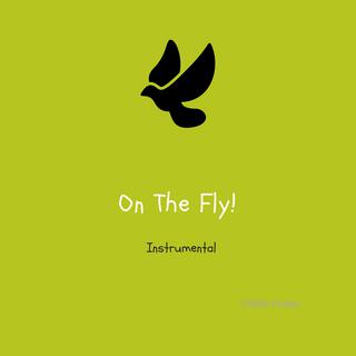 On The Fly ((Instrumental Version))