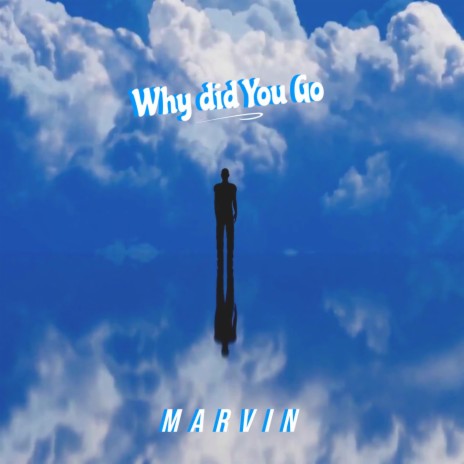 WHY DID YOU GO | Boomplay Music