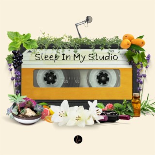 Sleep In My Studio lyrics | Boomplay Music