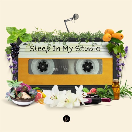 Sleep In My Studio | Boomplay Music