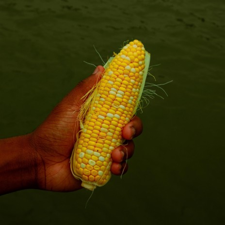 Corn on the Cob | Boomplay Music