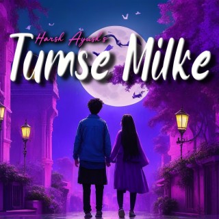 Tumse Milke ft. Ayush Raja lyrics | Boomplay Music