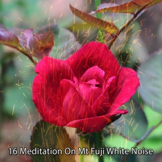 16 Meditation On Mt Fuji White Noise